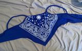 Blue Bandana Top Photo 0