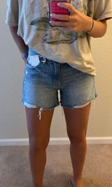 Vervet Denim Shorts Photo 0