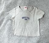Brandy Melville wrigley field spellout crop tee Photo 0