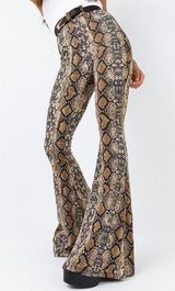 Snake Print Stretchy Flares Size 6 Photo 0