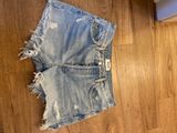 AGOLDE Parker Vintage Cut Off Short Photo 0