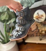 Freebird by Steven Photo 0