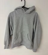 Grey Aritzia Hoodie TNA Boyfriend Photo 0