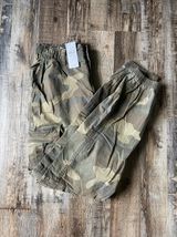 American Eagle Outfitters Camo Joggers Photo 0