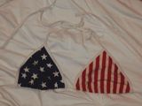 American Apparel American Flag Bikini Photo 0