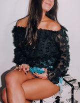 Crescent Sheer Sleeve Top Photo 0