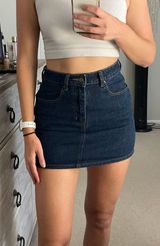 Wild Honey Denim Skirt Photo 0