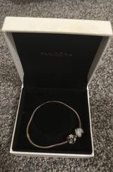 Pandora Charm Bracelet Photo 0