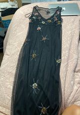 Cache Sheer Dress Photo 0