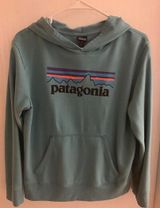 Patagonia Hoodie Photo 0