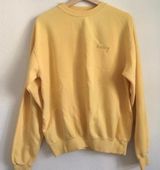 Brandy Melville Honey Sweatshirt Photo 0