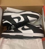 Nike Dunk Low Panda Photo 0