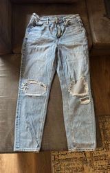 American Eagle Outfitters Strigid Mom Jeans Photo 0