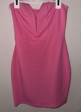 NWT Pink Strapless Dress Photo 0