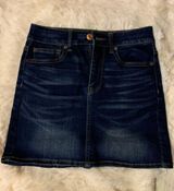 Jean Skirt Brand New Photo 0