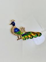 Colorful Pheasant brooch pin Green Photo 0