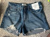 Abercrombie & Fitch Shorts Photo 0
