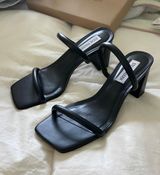 Steve Madden Heels Photo 0