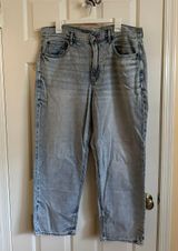 American Eagle Pride Collection Wide Leg Jeans Photo 0