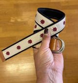 Ladybug Preppy Coastal Grandma Resortwear Vacation Novelty Leather Cloth Belt XS Photo 0