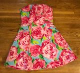 Lilly Pulitzer First Impression Dress Photo 0