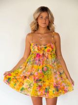 honeyplum adventure dress Photo 0