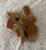 DSW B.O.C Sandals Photo 0