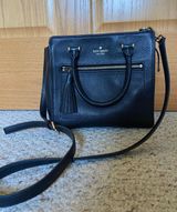 Kate Spade Purse / Crossbody Photo 0