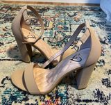 Windsor Nude Heels Photo 0