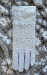 Lace Gloves White Photo 0