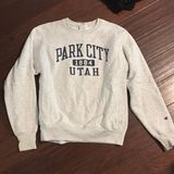 Champion Gray Park City Sweatshirt Photo 0