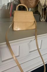 Little Yellow Purse Photo 0