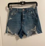 American Eagle Outfitters Mom Shorts Photo 0