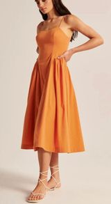 Dropped Waist Corset Midi Dress Photo 0