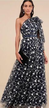 Whimsical Allure Navy Mesh Embroidered Dress Photo 0