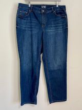 Terra & Sky Women’s Straight Plus Size Denim Jean Medium Wash Size 16W Petite Photo 0