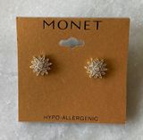 Monet Earrings Photo 0