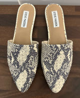 Steve Madden  Mules Photo 0