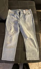 Lane Bryant jeans Photo 0