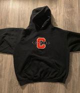 Jansport oversized hoodie Photo 0