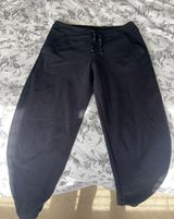 Patagonia Sweatpants Photo 0