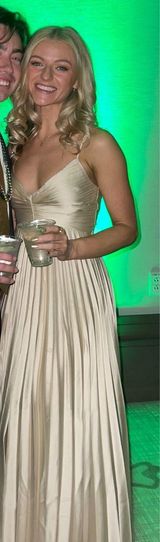 Abercrombie Giselle Pleated Dress Photo 0