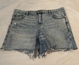 Outfitters Jean Shorts Photo 0