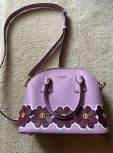 Kate Spade Purse / Crossbody Photo 0