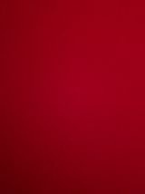 Black belt for Carly Photo 0