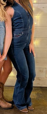 Urban Outfitters Denim Jumpsuit BDG Photo 0