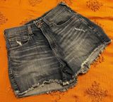 Ariat Shorts Photo 0