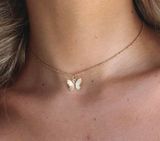 Boutique Gold Butterfly Chain Necklace  Photo 0