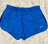 Dri-Fit Blue Shorts Photo 0