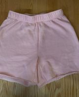 PacSun Shorts Photo 0